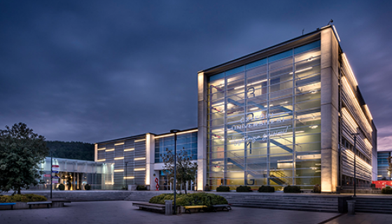 Özyeğin University